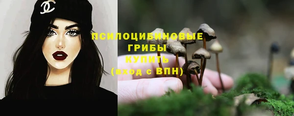 тгк Алексеевка