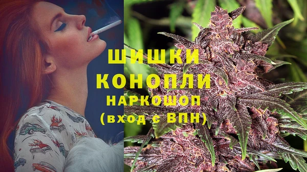 твердый Алзамай