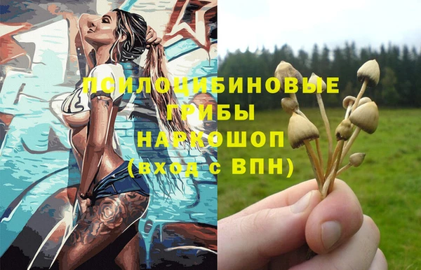 тгк Алексеевка
