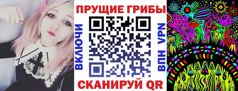 Купить закладки  Суровикино  Галлюциногенные грибы мицелий 